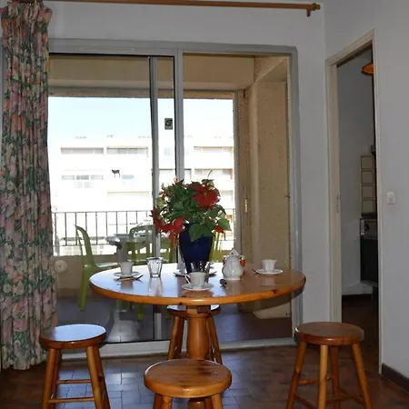 4 Personnes Proche Plage, Animaux Admis, Saint-cyprien - Fr-1-225d-2 *